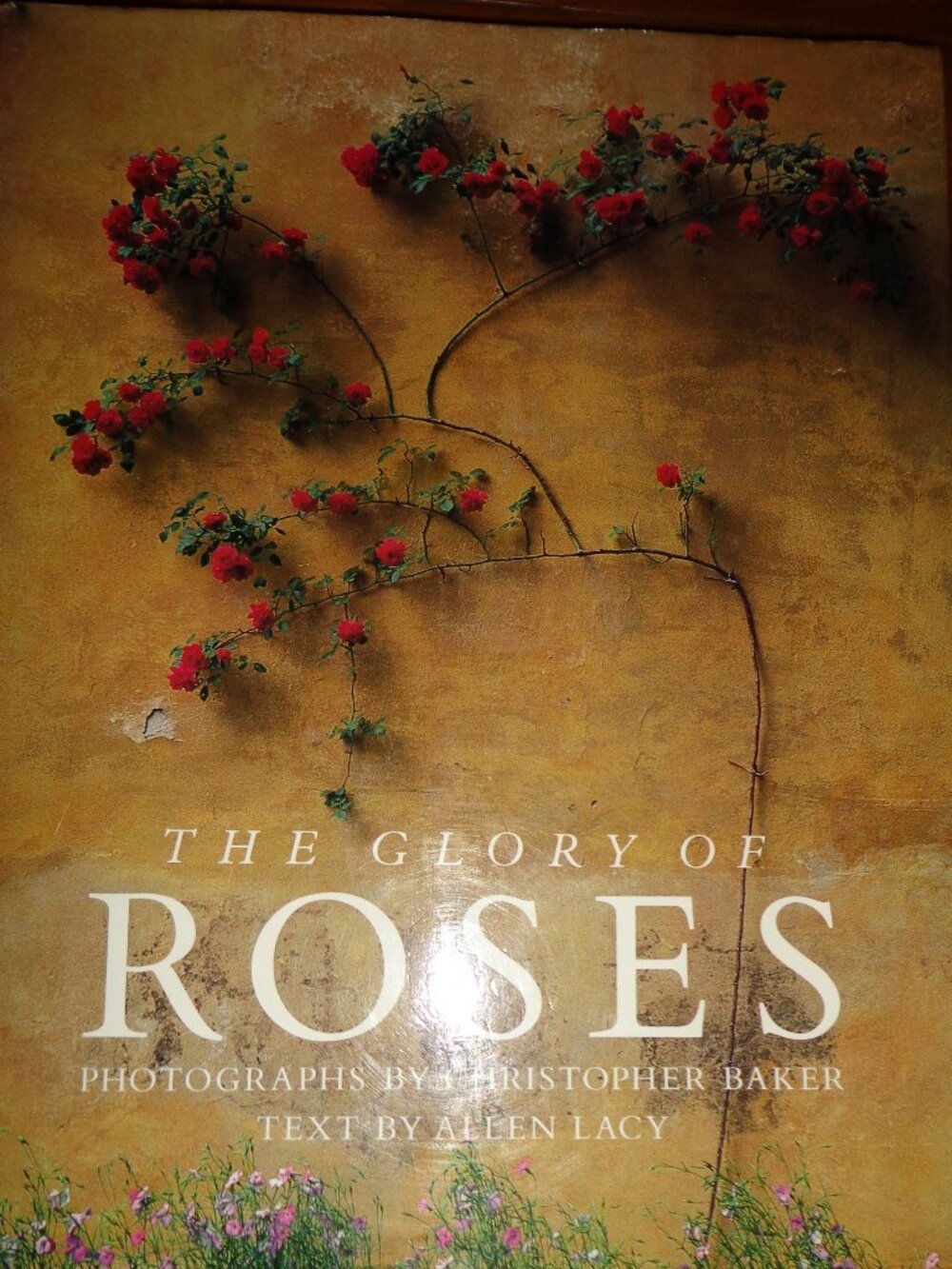 NEW Hardcover Book w/Dust Jacket THE GLORY OF ROSES